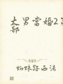 大男当婚2第二部