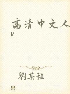 高清中文人妻av