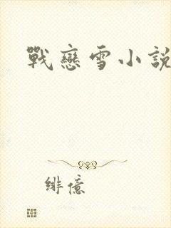 战恋雪小说封面