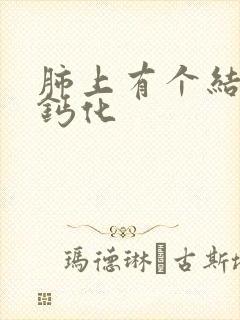 肺上有个结节和钙化封面