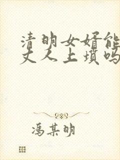 清明女婿能给老丈人上坟吗封面