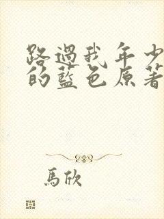 路过我年少时光的蓝色原著小说