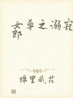 女尊之溺宠怯夫郎封面