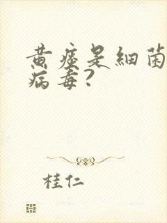 黄痰是细菌还是病毒?