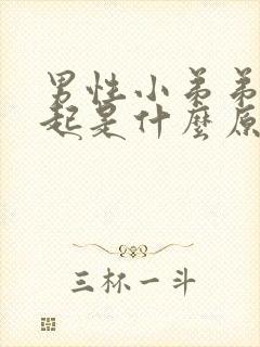 男性小弟弟硬不起是什么原因