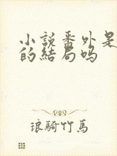 小说番外是真正的结局吗封面