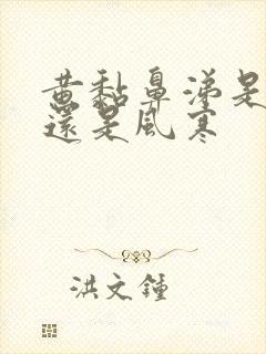 黄黏鼻涕是风热还是风寒封面