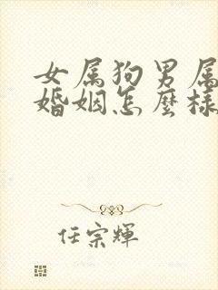 女属狗男属羊的婚姻怎么样