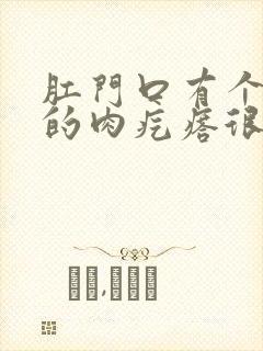 肛门口有个硬硬的肉疙瘩很疼封面