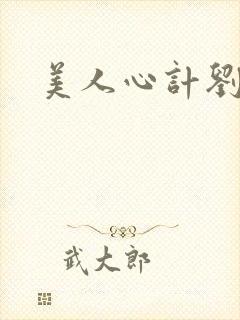 美人心计刘武封面