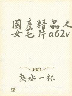 国产精品人妻熟女毛片a62v久久