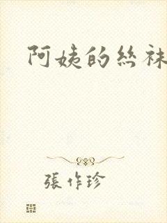 阿姨的丝袜小说