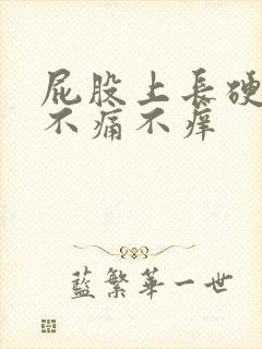 屁股上长硬疙瘩不痛不痒