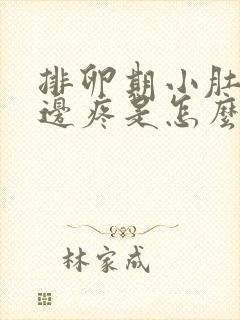 排卵期小肚子右边疼是怎么回事