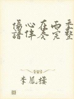 伤心在雨季动态谱伴奏完整版