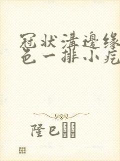 冠状沟边缘起肉色一排小疙瘩