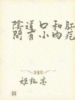 阴道口和肛门之间有小肉疙瘩