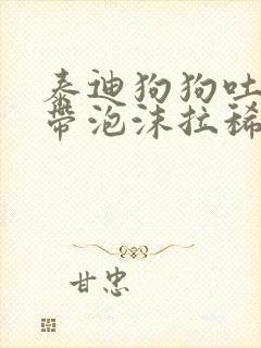 泰迪狗狗吐黄水带泡沫拉稀封面