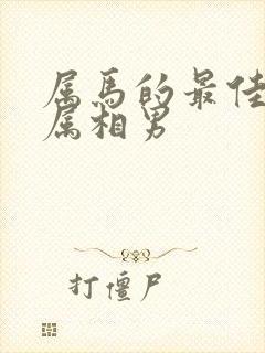 属马的最佳婚配属相男封面