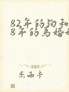 82年的狗和78年的马婚姻如何