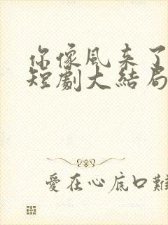 你像风来了又走短剧大结局