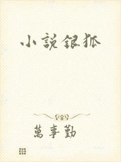 小说银狐封面