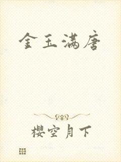 金玉满唐封面