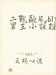 二战欧风bl双男主小说推荐