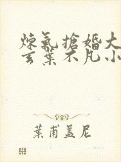 炼气抢婚大帝李玄叶不凡小说