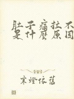 肚子痛拉不出屎是什么原因