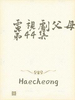 电视剧父母爱情第44集封面