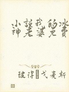 小说我的冰山女神老婆免费阅读