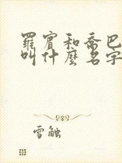 罗宾和乔巴本子叫什么名字