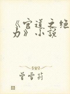 《官道之绝对权力》小说
