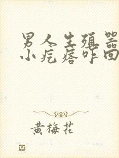 男人生殖器里有小疙瘩咋回事