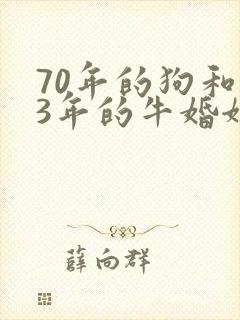 70年的狗和73年的牛婚姻般配吗封面