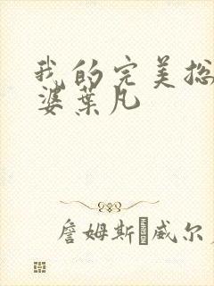 我的完美总裁老婆叶凡