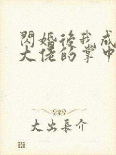 闪婚后我成为了大佬的掌中之物大结局封面