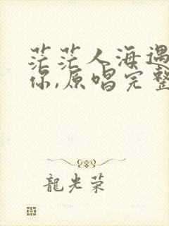 茫茫人海遇见了你,原唱完整版的封面