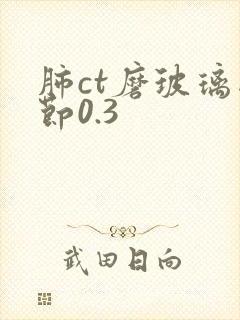 肺ct磨玻璃结节0.3