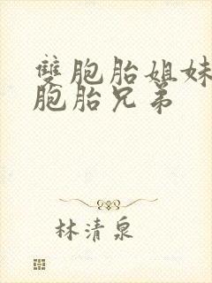 双胞胎姐妹和双胞胎兄弟封面