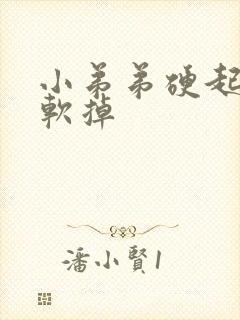 小弟弟硬起来又软掉