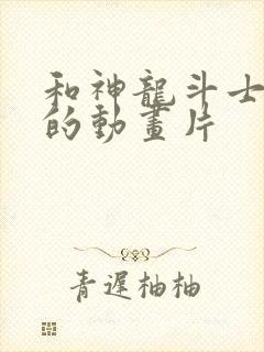 和神龙斗士很像的动画片