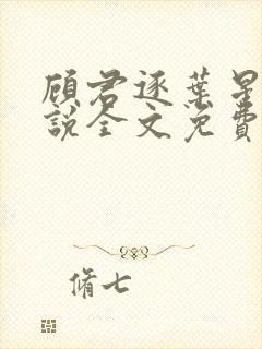 顾君逐叶星北小说全文免费阅读