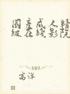 国产成人精品三级在线影院