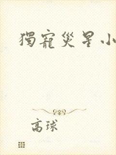 独宠灾星小夫郎