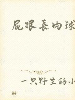 屁眼长肉球还疼封面