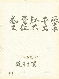 感觉肚子胀大便又拉不出来是什么原因