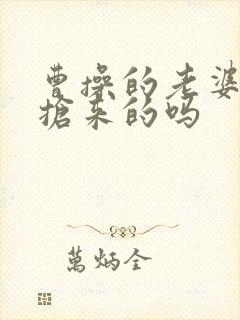 曹操的老婆都是抢来的吗封面