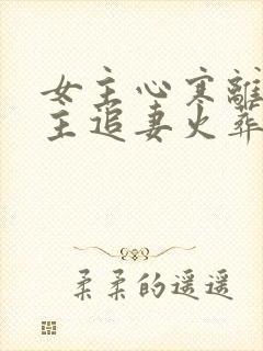 女主心寒离开男主追妻火葬场现言